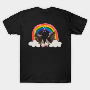 Two lovely rats with rainbow T-Shirt